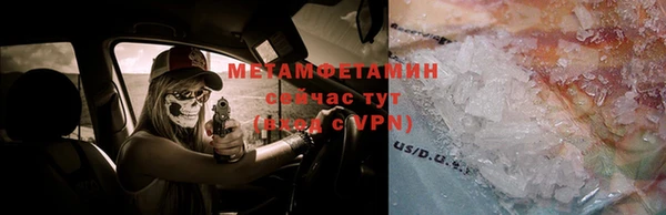 гидра Алексеевка