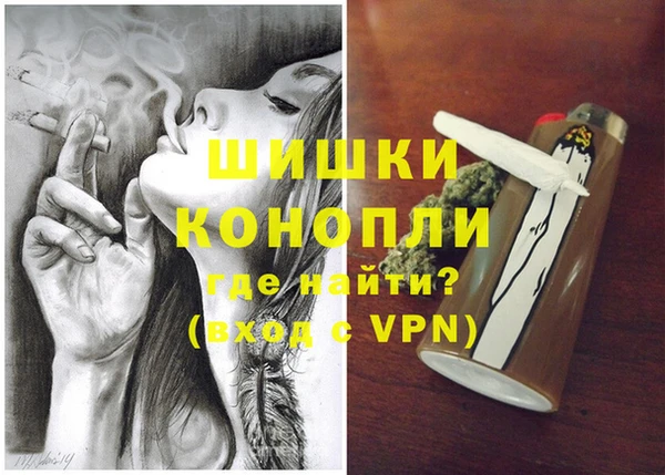 гидра Алексеевка