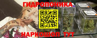 крисы Обь
